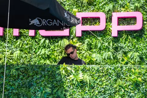DJ tras un muro vegetal, bajo el toldo de Organics by Red Bull. Red Bull Organics × MAPPA, Tenerife, marzo 2024